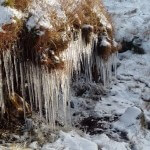 Icicles at 400m in Glen Etive